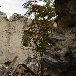 2015-07 Savoie/Essaillon/DSC_0046.JPG